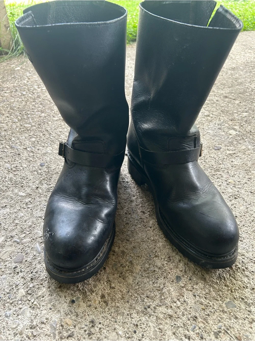 Texas Steer durable black